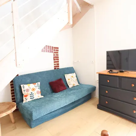 Le Duplex De Centre-ville & Ocean Apartment Soustons